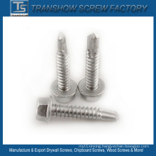 Ruspert Coated Hex Flange Head Tapping Screw